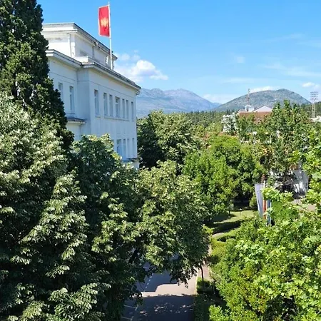 Daire Zero Distance *